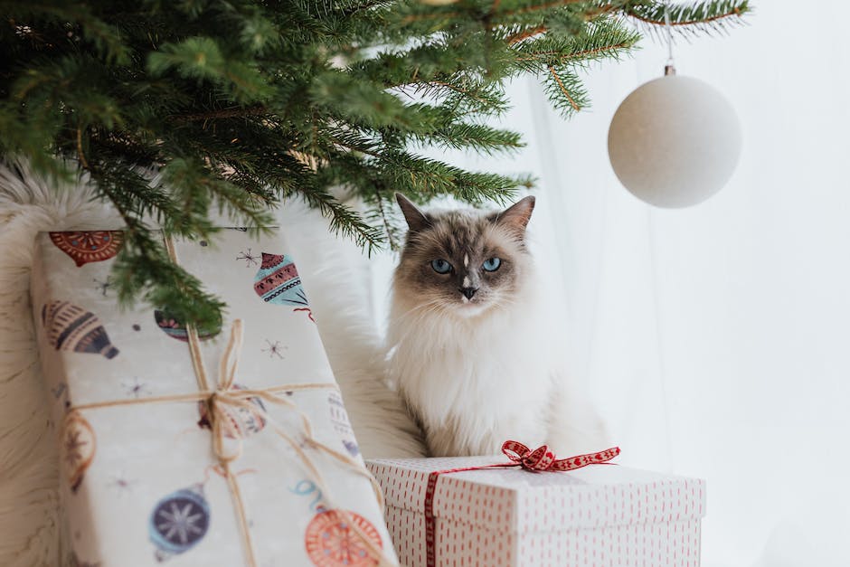 Weihnachtsgeschenke öffnen am Heiligabend