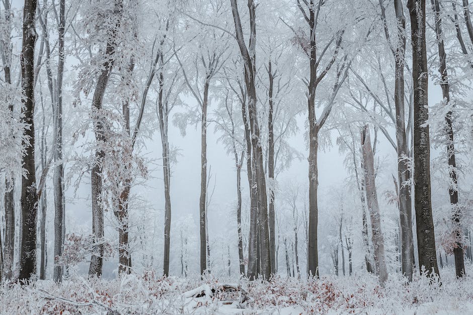 Väterchen Frost bringt Weihnachtsgeschenke nach Russland