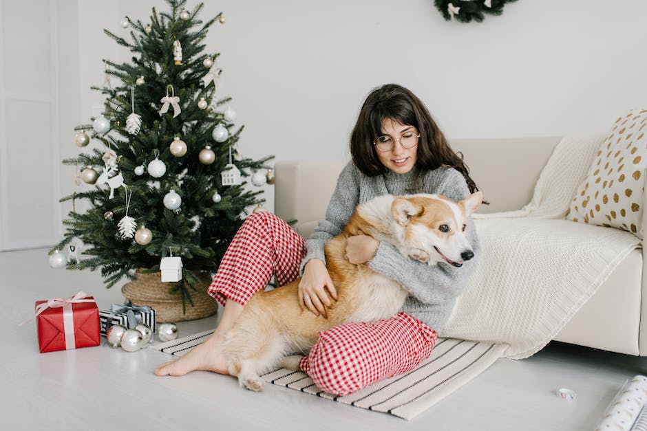  Hunde Geschenke Bedeutung und Zweck